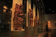 Anthropology Museum Early Access Tour