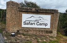 Cape Town City and Garden Route Wildlife Reserves Multi Day Tour