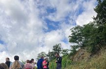 Hiking and Wine between Côte-Rôtie and Condrieu