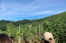 Hiking and Wine between Côte-Rôtie and Condrieu