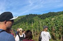 Hiking and Wine between Côte-Rôtie and Condrieu