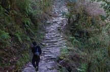 Ghorepani Poon Hill Trekking in Annapurna