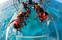 Cancún Clear Boat: Caribbean Swim, Reef Views Free Drinks & Photo