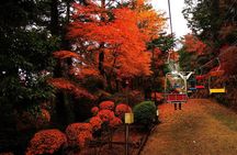 Tokyo: Mt. Takao Tour with Ramen and Tattoo-OK Hot Spring