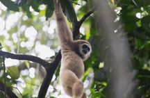 1 Day Ethical Jungle Trek in Bukit Lawang at Sumatra