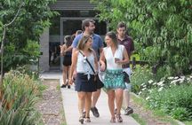 Half Day Wine and Olive Oil in Mendoza. Private Transportation.