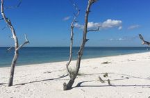 Private Shell Wildlife Eco Tour