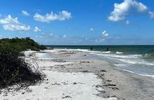 Private Shell Wildlife Eco Tour