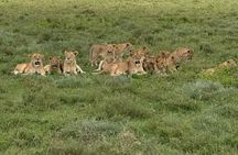 4 Days Tarangire, Serengeti and Ngorongoro Mid-Range Group Safari