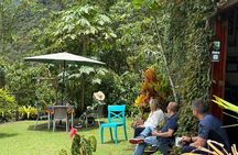 Ecological Experience in the Quito Cloud Forest