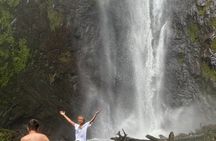 Ecological Experience in the Quito Cloud Forest