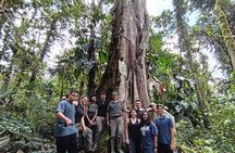 Ecological Experience in the Quito Cloud Forest