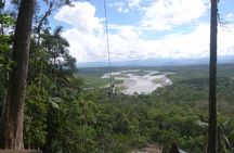 Puyo Jungle Full Day Tour