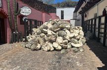 Full-Day Tour to La Fortaleza Distillery and Cantaritos