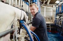 Farm Tour and Cheese Tasting at Errington Cheese