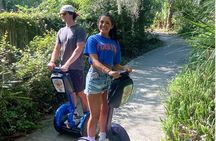 Segs in the Park Shaded Park Segway Ride