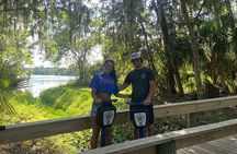 Segs in the Park Shaded Park Segway Ride