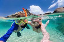 Underwater Magic Rincon Snorkel Adventure