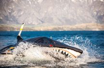 Queenstown Hydro Attack Shark Ride Adventure