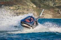 Queenstown Hydro Attack Shark Ride Adventure