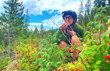 Golden to Red Rocks Electronic Bike Tour