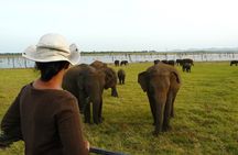 Essence of Sri Lanka 8 Day Tour with Gotrex Tours