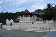 Essence of Sri Lanka 8 Day Tour with Gotrex Tours