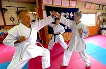 Karate Adventure in Osaka Japan