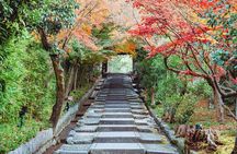 Kyoto East Early Morning Walking Tour