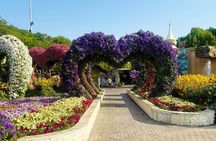 Miracle Garden & Global Village: Dubai Evening Adventure