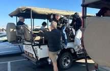 Chobe Full Day Trip