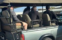 Chobe Full Day Trip