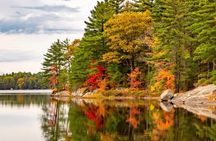 From Toronto: Cranberry Plunge and Hardy Lake Hike Adventure