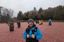 From Toronto: Cranberry Plunge and Hardy Lake Hike Adventure