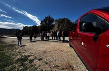 Alicante; Winery visit with two Oil and Fondillón Museums