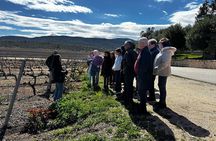 Alicante; Winery visit with two Oil and Fondillón Museums