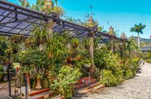 Vallarta Botanical Garden: Private Day Trip of Flora & Fauna
