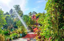Vallarta Botanical Garden: Private Day Trip of Flora & Fauna