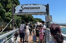 Yokosuka: Guided Island Tour to Sarushima’s Forgotten Fort