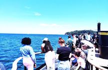 Yokosuka: Guided Island Tour to Sarushima’s Forgotten Fort