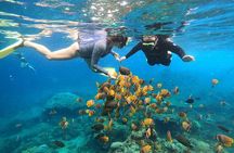 Full-Day Nusa Penida Island with Snorkeling from Bali