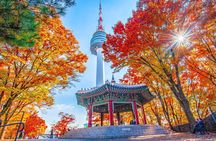 Small group(7pax) tour in Seoul including picking up(No shopping)