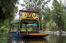 CDMX Enjoy a unique tour of Xochimilco and Coyoacán