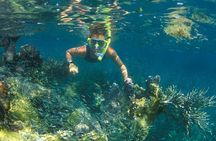 Nha Trang Mun Island Snorkeling Coral Reef Tour with BBQ Lunch