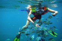 Nha Trang Mun Island Snorkeling Coral Reef Tour with BBQ Lunch