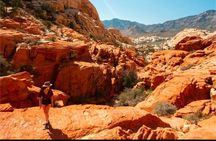 Shared Tour in Red Rock Canyon