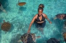 Turtles Sanctuary in Salaam Cave