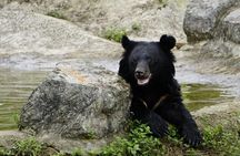 Cuc Phuong National Park and Bear Sanctuary Full Day Tour