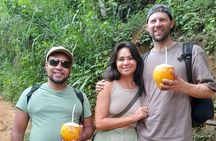 Private Tour Experiences Across Sri Lanka