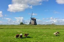 Amsterdam Private Tour Off the Beaten Path